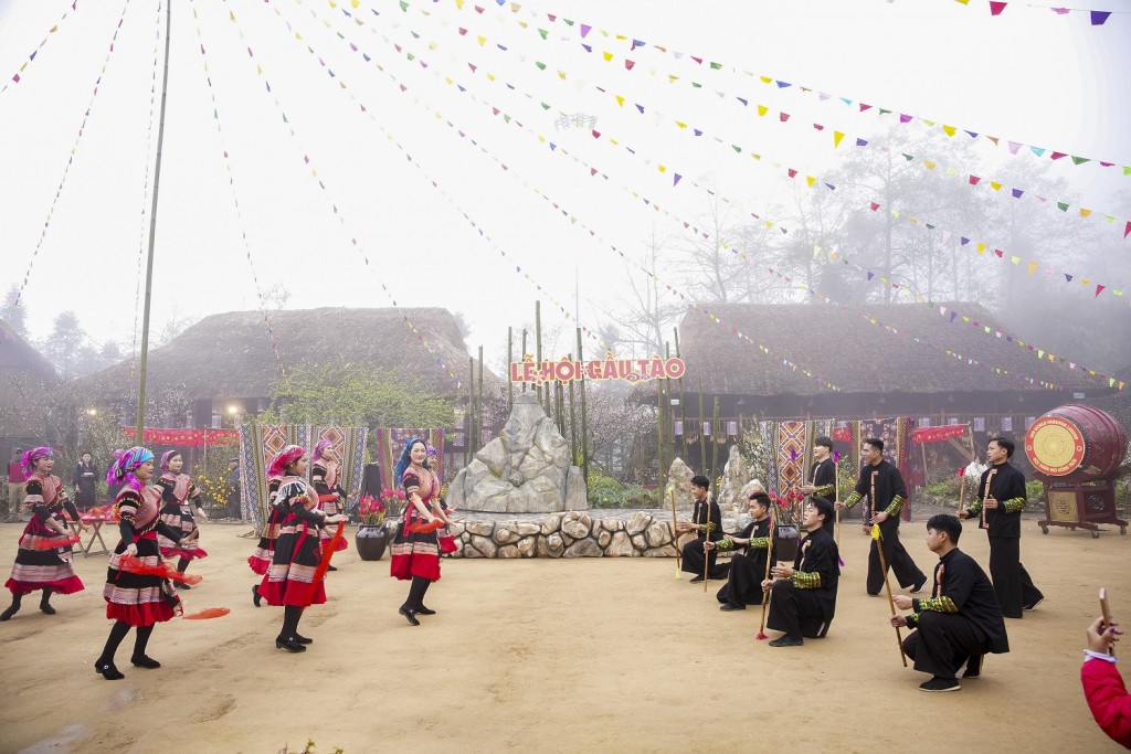 Mãn nhãn với biển hoa vàng rực rỡ tại Fansipan