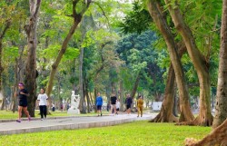 Dấu ấn "công viên mở" - Xóa bỏ rào cản, kết nối lòng người