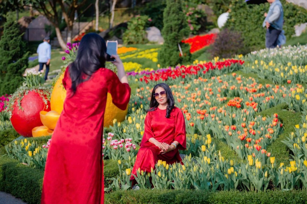 Hơn 120.000 bông hoa tulip khoe sắc rạng rỡ trên đỉnh núi Bà. Ảnh: Sun World Ba Den Mountain
