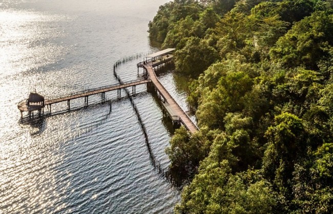 Du lịch kiểu “sống chậm”: Ngắm nhìn Singapore qua lăng kính tĩnh lặng