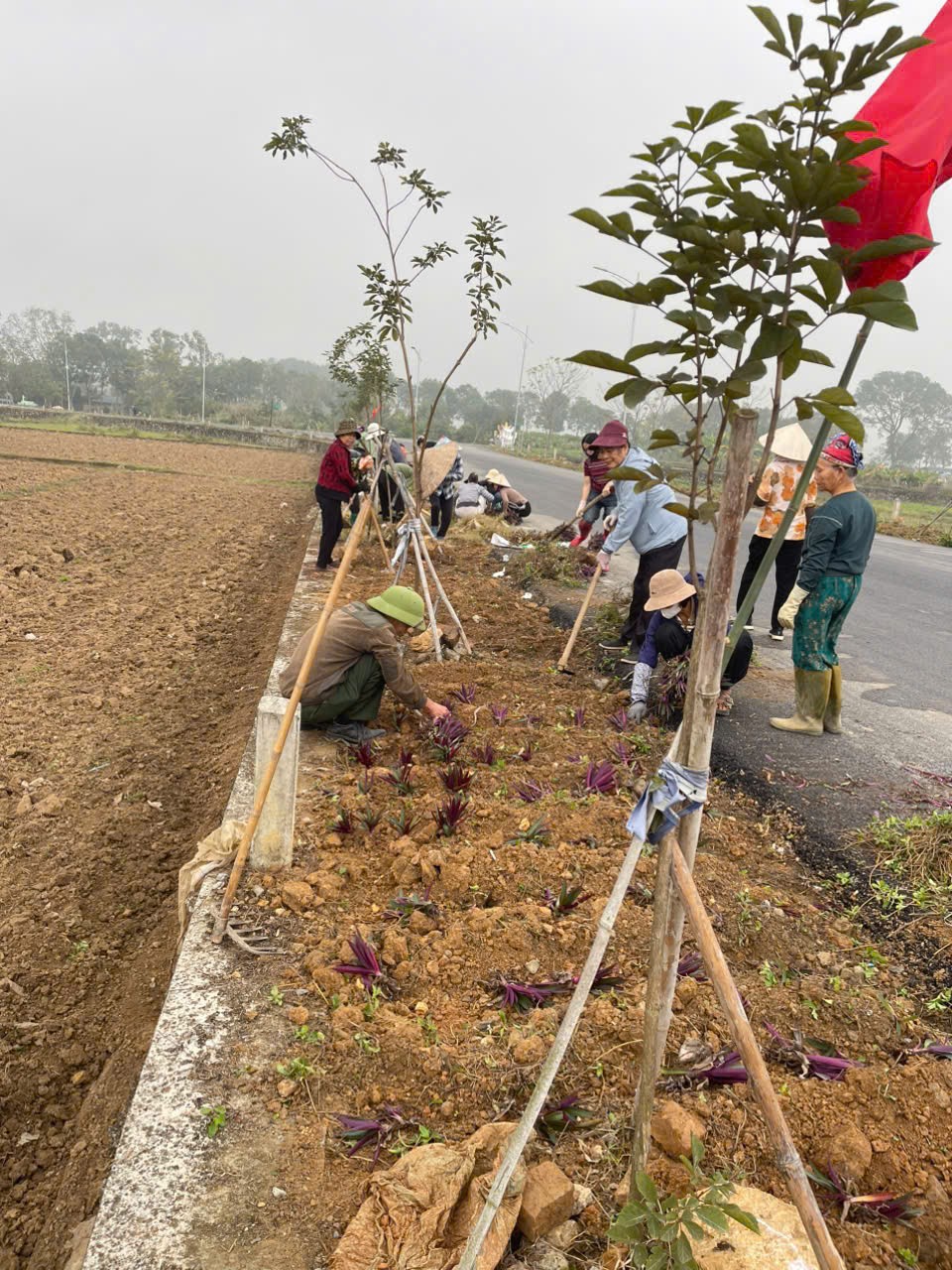 Các chi hội phụ nữ xã Phúc Sơn trồng cây, chăm sóc những đoạn đường trên địa bàn của mình