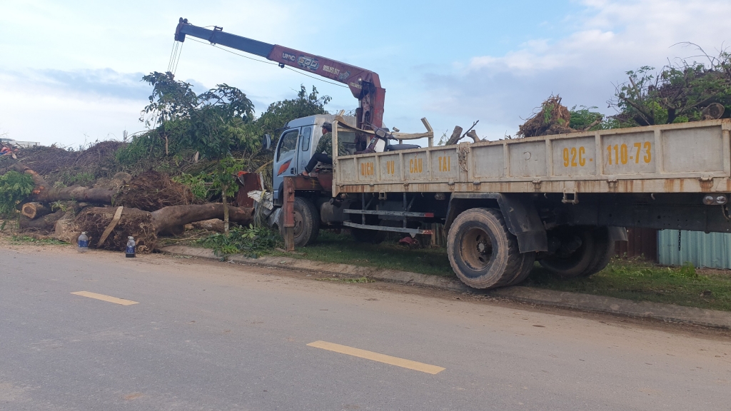 Đà Nẵng: Tận thu gỗ trái phép, hàng loạt cán bộ bị kỉ luật