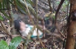 Đà Nẵng: Phát hiện thi thể người đàn ông trên bán đảo Sơn Trà
