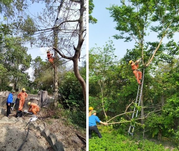 Lắp đặt mới hệ thống chiếu sáng tại khu định cư Tân Bình