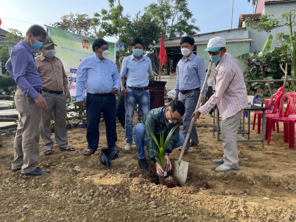 các loại giống cây được HND thị xã Điện Bàn khảo sát trong thời gian qua, đảm bảo tính thích ứng với điều kiện tự nhiên, thổ nhưỡng 