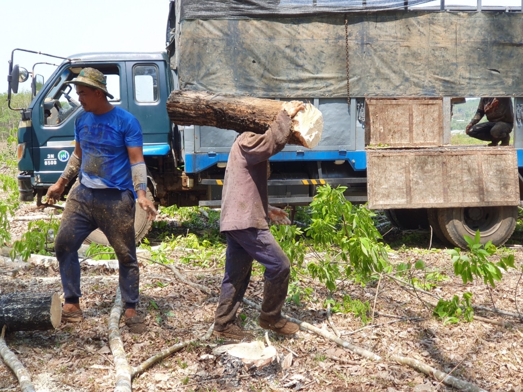 Hoạt động khai thác vẫn được triển khai 