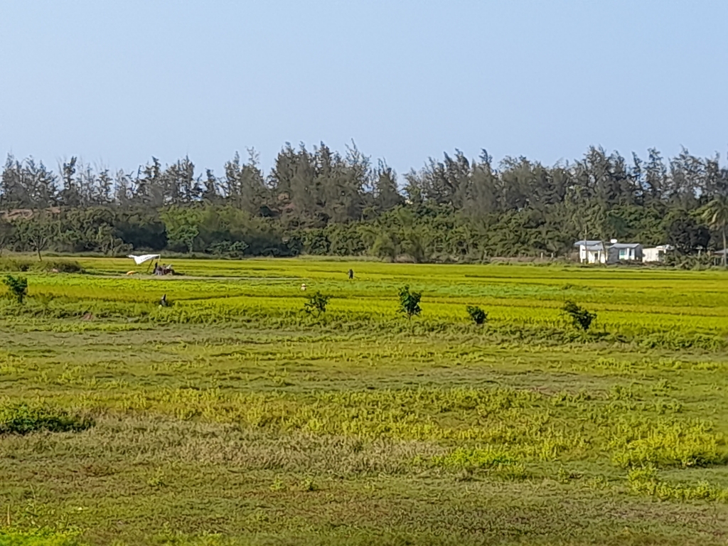 Quảng Nam: Vướng vấn đề giải phóng mặt bằng, dự án nạo vét sông Cổ Cò đang chậm tiến độ