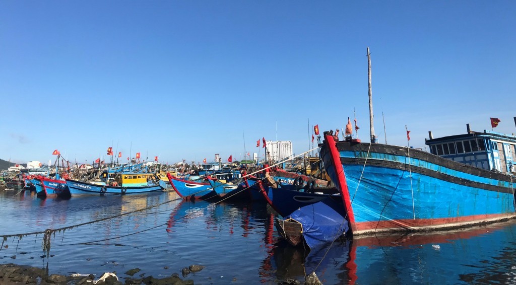 Âu thuyền Thọ Quang là địa điểm nhức nhối về ô nhiễm môi trường tại Đà Nẵng từ nhiều năm nay