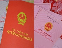 Quảng Nam: Hủy Giấy chứng nhận quyền sử dụng đất đã cấp cho Công ty Mùa Vàng