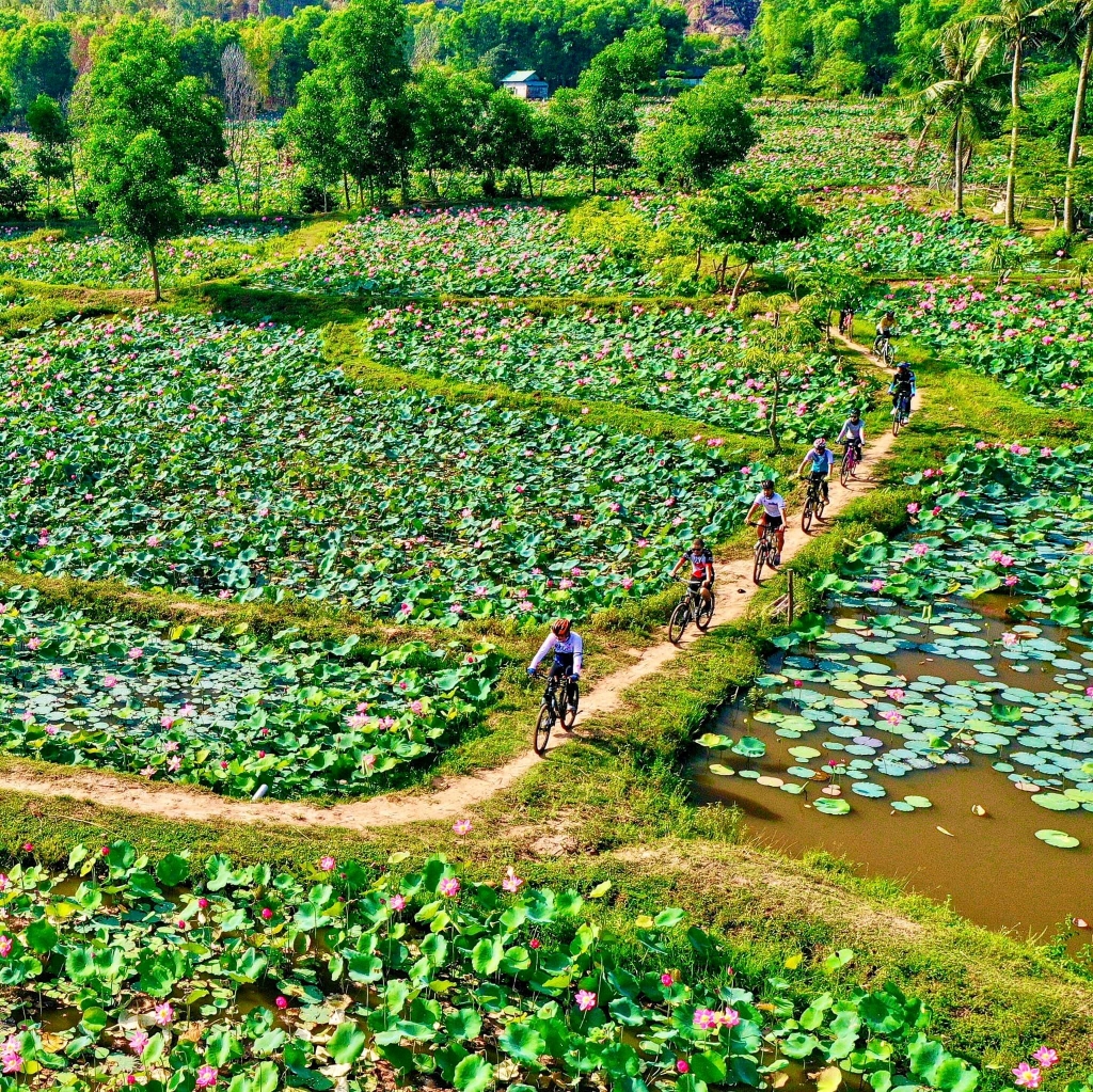 Đà Nẵng: Những người đam mê khám phá tự nhiên bằng xe đạp