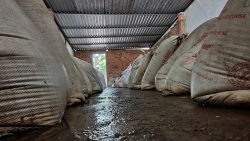 Đà Nẵng: Phát hiện kho chứa 15 tấn tương ớt “siêu bẩn”