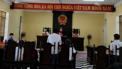 Quảng Nam: Yêu cầu các đơn vị phải thi hành án chấp hành nghiêm bản án