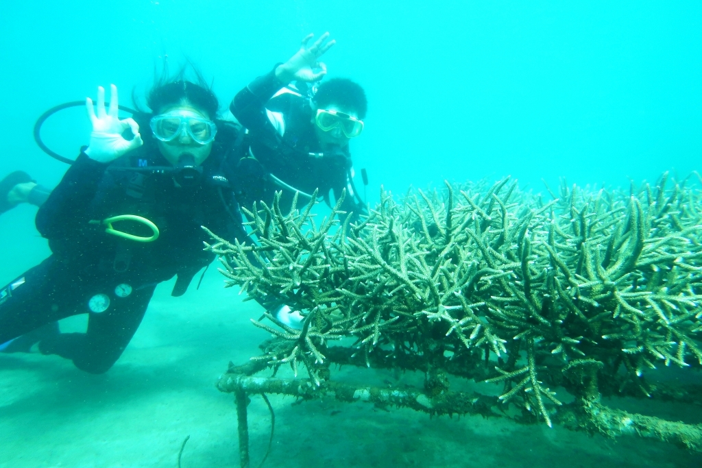 Hệ sinh thái biển tại Cù Lao Chàm rất phong phú, đa dạng