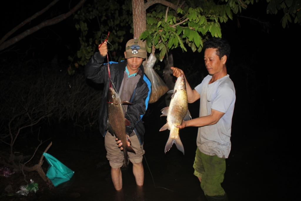 1309 aynh 1 nhyyng chuy cay khuyng diynh cau ngay trong yem