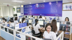 Đà Nẵng: Khảo sát mức độ sẵn sàng và nhu cầu chuyển đổi số của doanh nghiệp