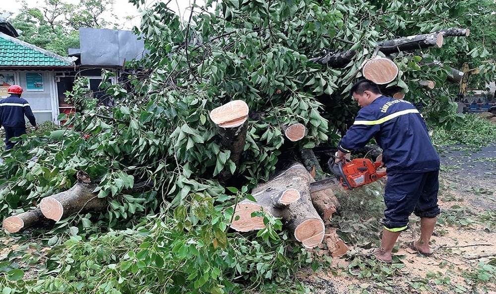 Thừa Thiên Huế 24 người thương vong hơn 1 600 nhà dân hư hỏng do bão số 5