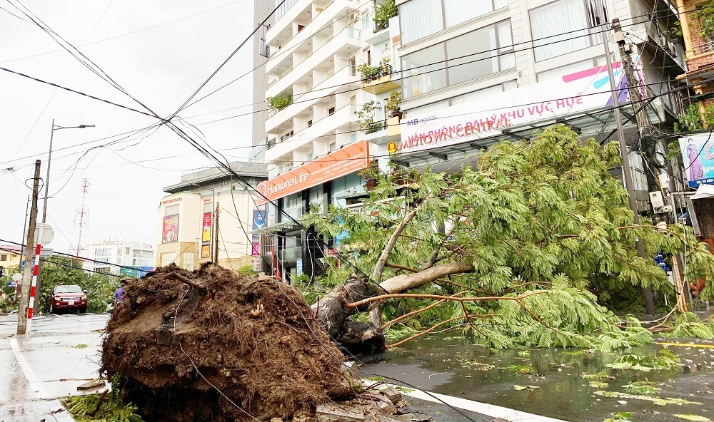 Thừa Thiên Huế 24 người thương vong hơn 1 600 nhà dân hư hỏng do bão số 5