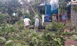 Thừa Thiên - Huế: 4 người chết, thiệt hại hơn 505 tỷ đồng do bão số 5