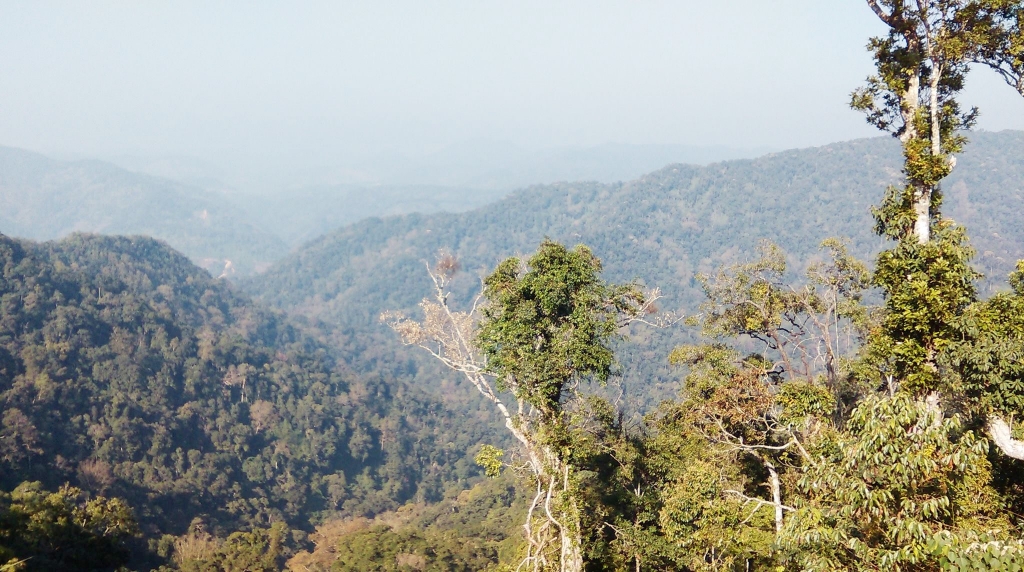 Núi rừng Tây Giang, Quảng Nam (Ảnh: @dacsanrung.TayGiang.QuangNam