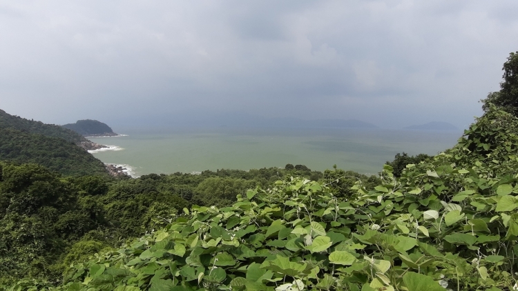 Bán đảo Sơn Trà, TP Đà Nẵng là nơi có hệ sinh thái đa dạng