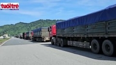 Xuất hiện hàng trăm xe tải "hạng nặng" nối đuôi vào cảng Chân Mây