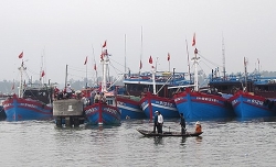 Quảng Nam: Không cho đóng mới tàu cá nhỏ khai thác vùng biển ven bờ