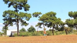 Gia Lai: Dự án sân golf tại Đắk Đoa, Thủ tướng chỉ đạo kiểm tra, báo cáo
