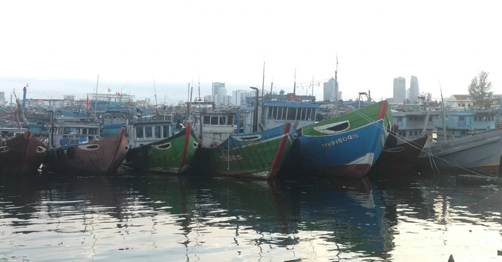 Đà Nẵng nghiêm cấm tàu thuyền ra khơi, tiếp tục kiểm đếm và giữ thông tin liên lạc với tàu thuyền đang hoạt động trên biển