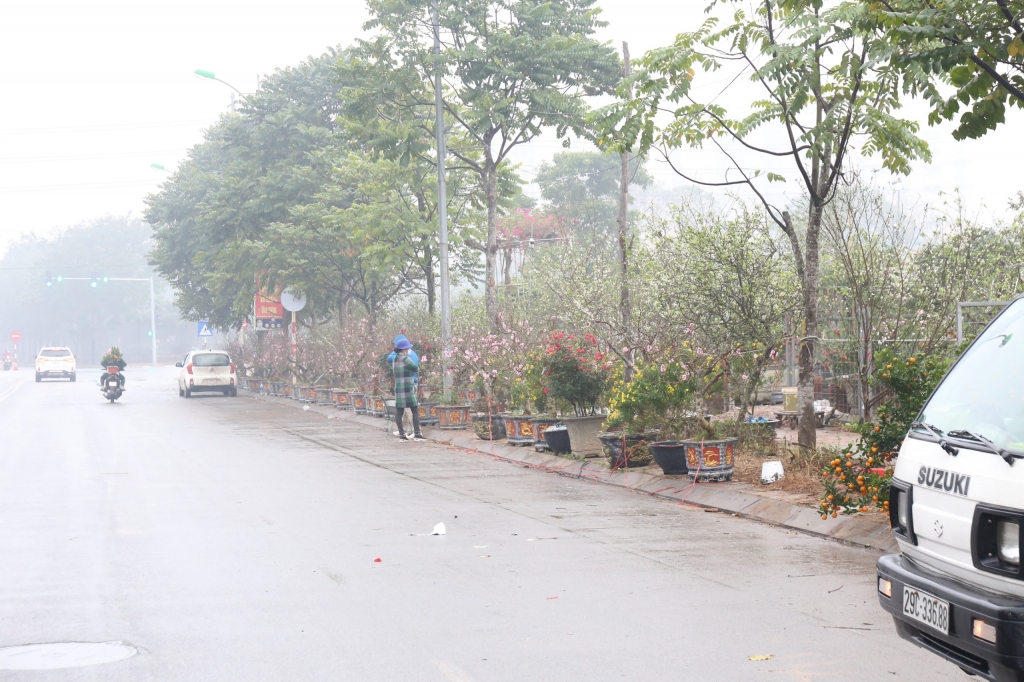 Đào quất ế khách, tiểu thương “đứng ngồi không yên”