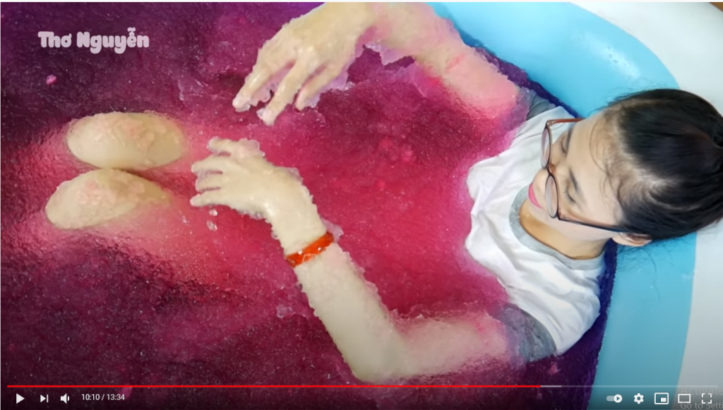 Thơ Nguyễn đã từng gây bức xúc vì video có âm thanh phản cảm
