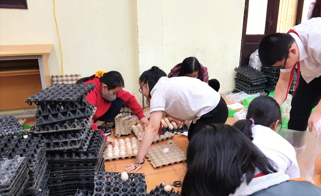 Hoạt động mua trứng, gà ủng hộ bà con tỉnh Hải Dương của trường THCS Thành Công