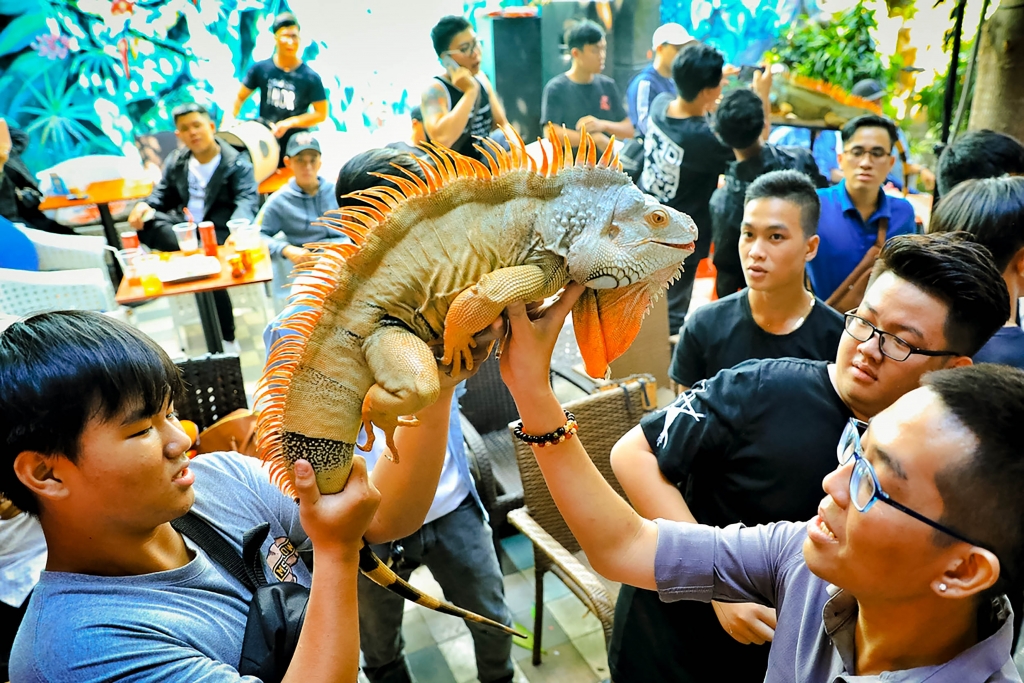 Bài 1: Báo động tình trạng hoang phí của giới trẻ