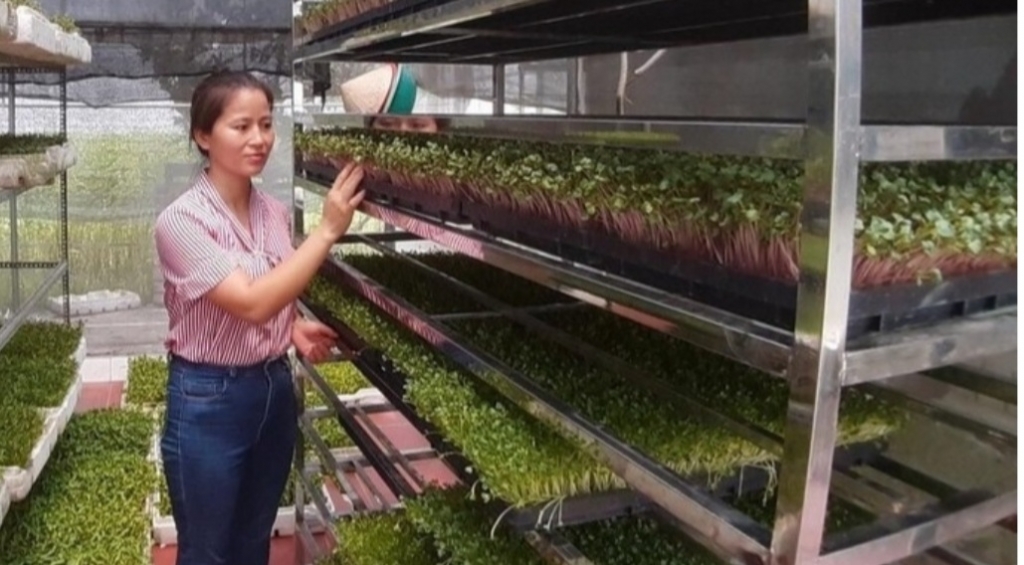 Chị Bùi Thị Thanh Hà với mô hìnhở Ninh Sở, Thường Tín, Hà Nội 