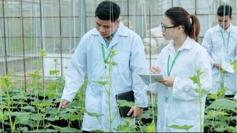 Nông nghiệp công nghệ cao - xu thế tất yếu của kỷ nguyên số