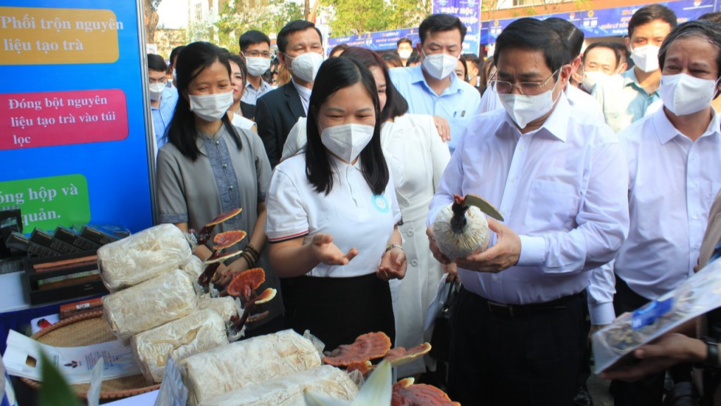 Thủ tướng Chính phủ Phạm Minh Chính đến thăm gian hàng trưng bày dự án “Nấm Lim xanh Việt Nam” của trường Đại học Lâm nghiệp