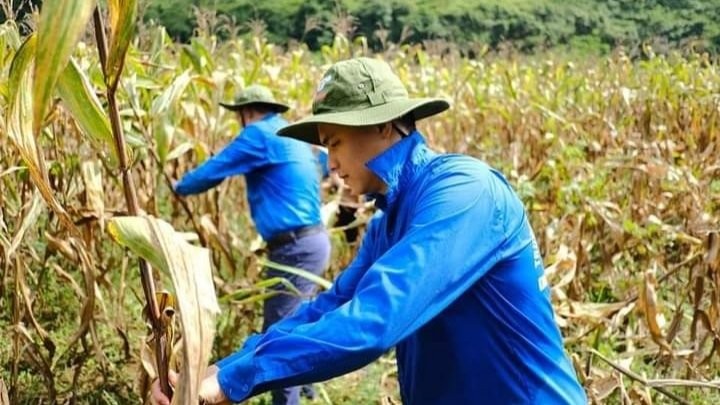 Anh Trần Minh Quang trong một chuyến đi tình nguyện của trường