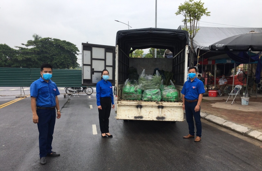 Rau được vận chuyển đến hai xã Đại Áng và Ngọc Hồi
