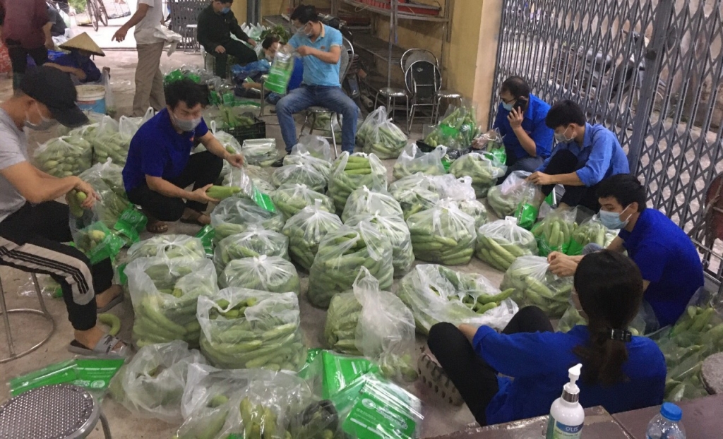 Rau được phân loại và đóng gói cẩn thận cho bà con