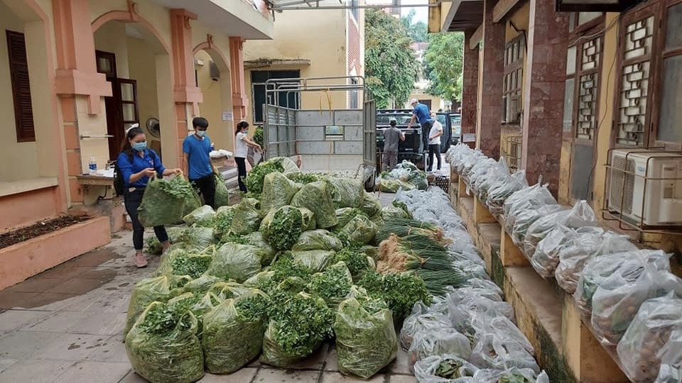 Từ đầu tháng 8 đến nay, Huyện đoàn Mỹ Đức đã tiêu thụ hàng chục tấn rau, củ, quả các loại