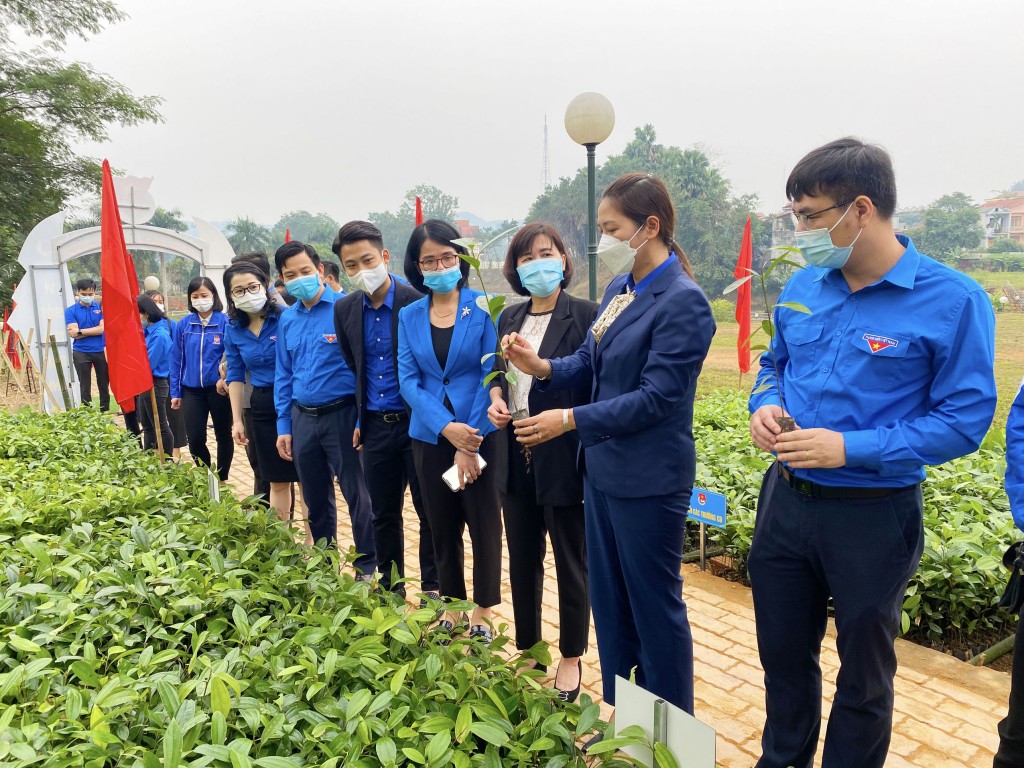 Các đại biểu và cán bộ hội, đoàn viên, thanh niên đã cùng tham gia hoạt động khánh thành công trình “Vườn ươm khởi nghiệp” của tuổi trẻ tỉnh Yên Bái.