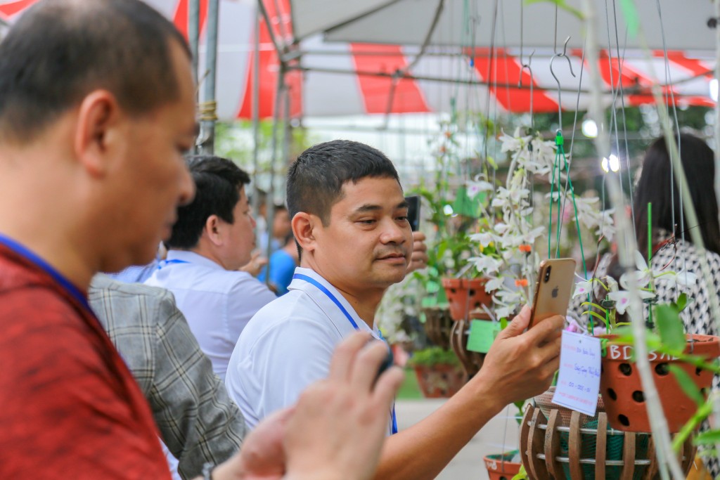 Hải Dương: Hương sắc ngập tràn triển lãm và thi hoa lan