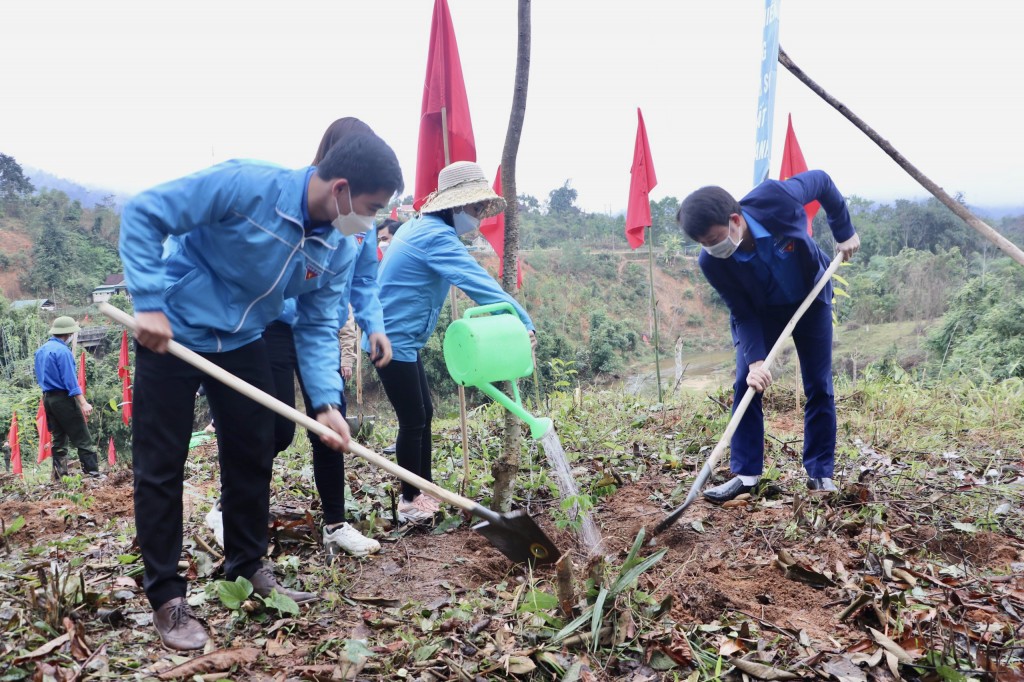 Nghệ An: Thực hiện công trình thanh niên trồng 10.000 cây lim xanh