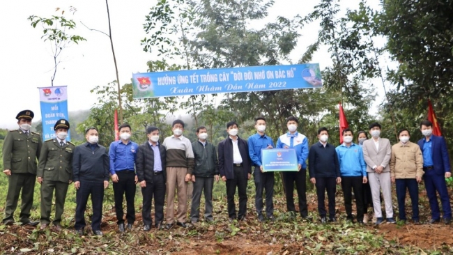 Nghệ An: Thực hiện công trình thanh niên trồng 10.000 cây lim xanh