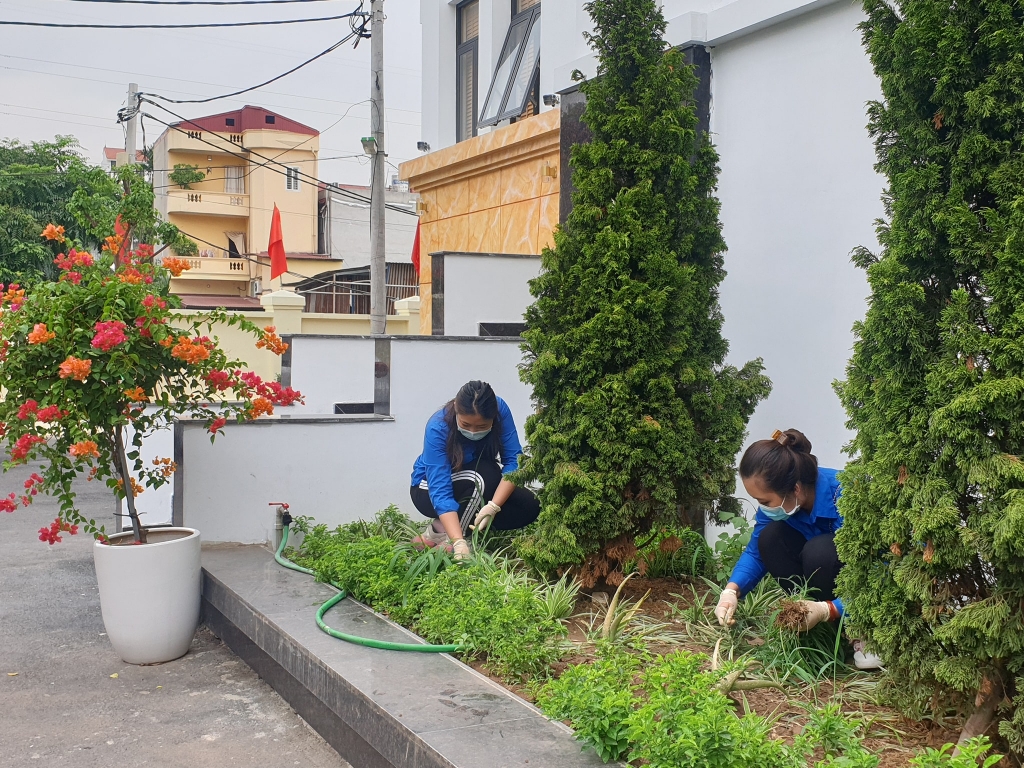 Đoàn viên, thanh niên phường Tứ Liên chăm sóc vườn hoa 