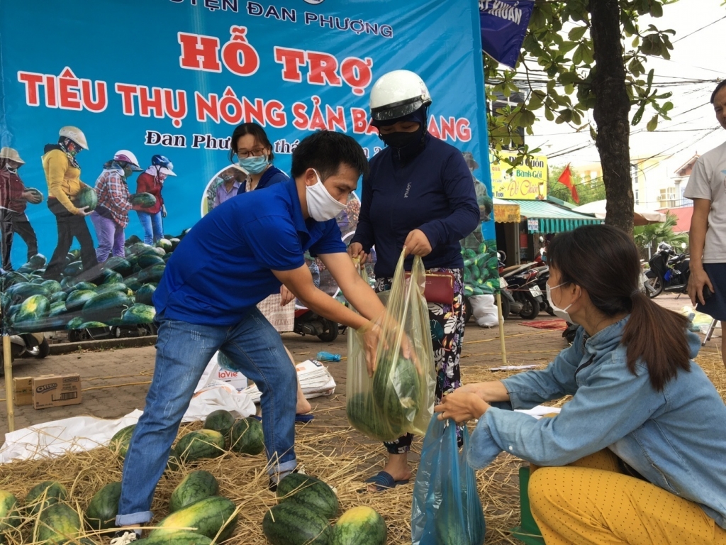 Đoàn viên, thanh niên huyện Đan Phượng hỗ trợ bà con tiêu thụ dưa hấu