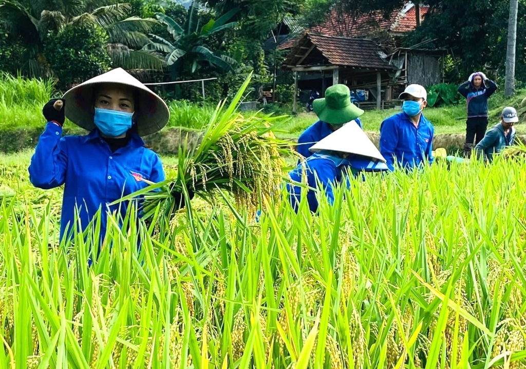 Đoàn viên, thanh niên tình nguyện giúp người dân