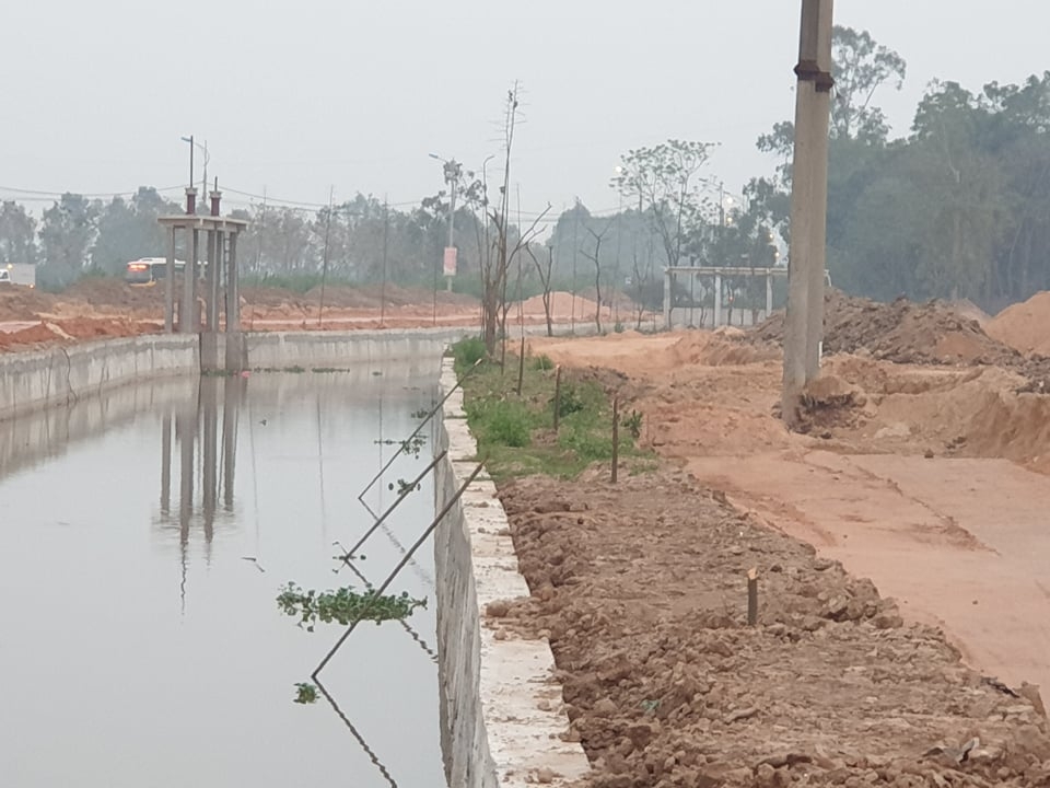 Cây xanh bị đốn hạ  ở  dự án CCN làng nghề Minh Phương (Yên Lạc).
