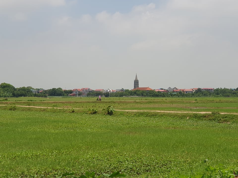 Đồng ruộng tại xã Phú Xuân, huyện Bình Xuyên (Vĩnh Phúc) rộng hàng trăm ha, phần lớn bị bỏ hoang. 