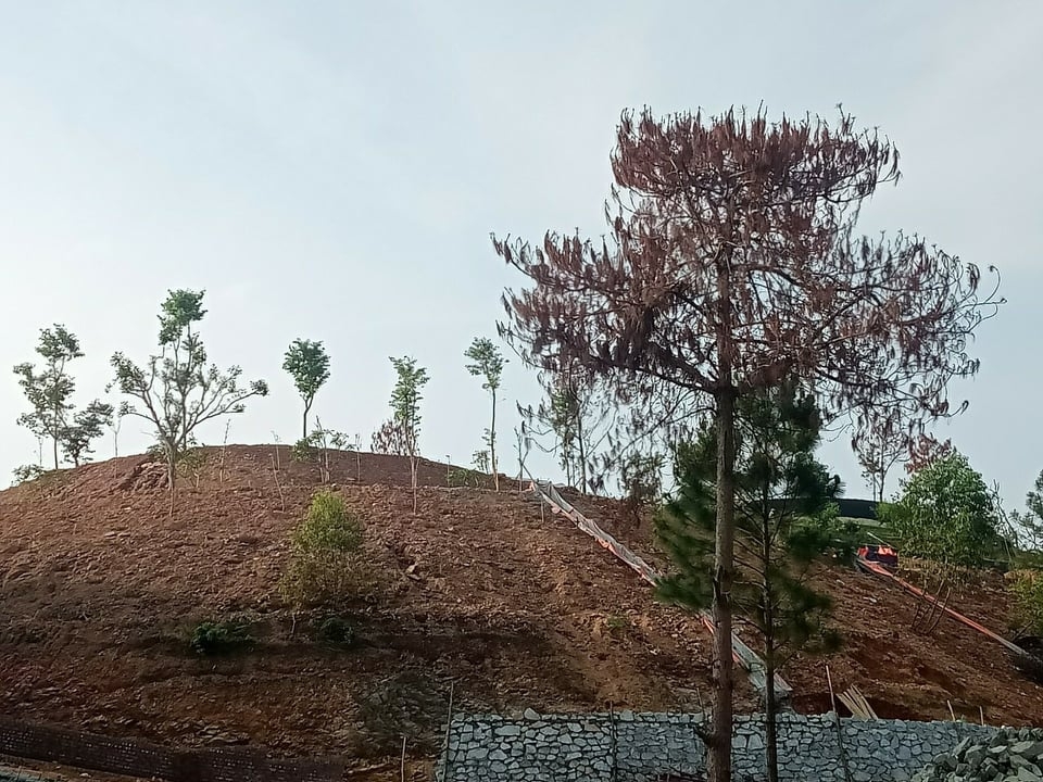 Mục đích của việc san gạt tạo đường băng, làm taluy, xây kè chống xói mòn để trồng rừng.