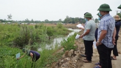Vĩnh Phúc: Cưỡng chế thực hiện kiểm đếm bắt buộc đối với 12 hộ dự án Cụm công nghiệp làng nghề Minh Phương